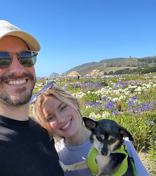 Puzzle Subscription Box Jigsaw Puzzle Subscriptions to Your Door